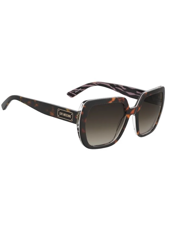 Love Moschino Square Moschino Love Sunglasses Frames